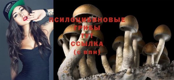 молекула духа Медногорск