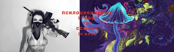 молекула духа Медногорск