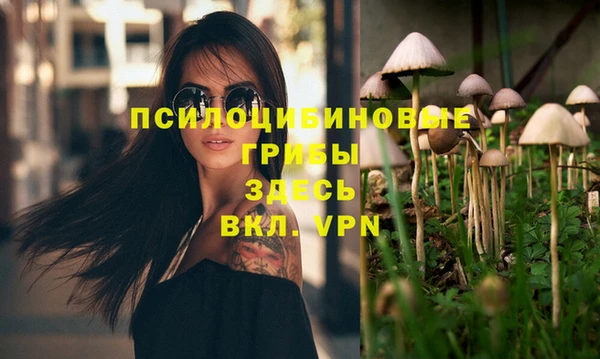 молекула духа Медногорск