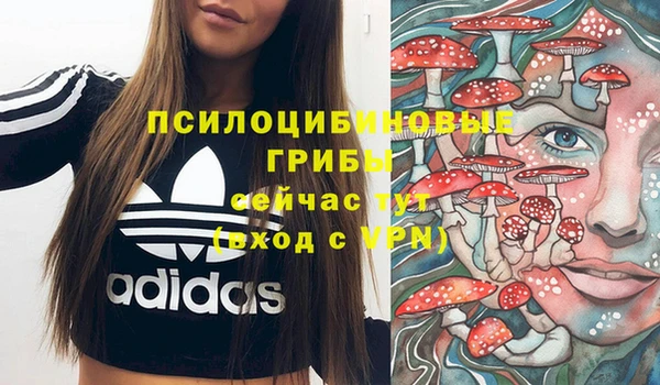 ALPHA PVP Медвежьегорск