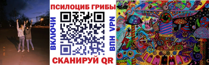 продажа наркотиков  mega ТОР  Псилоцибиновые грибы прущие грибы  Заринск 