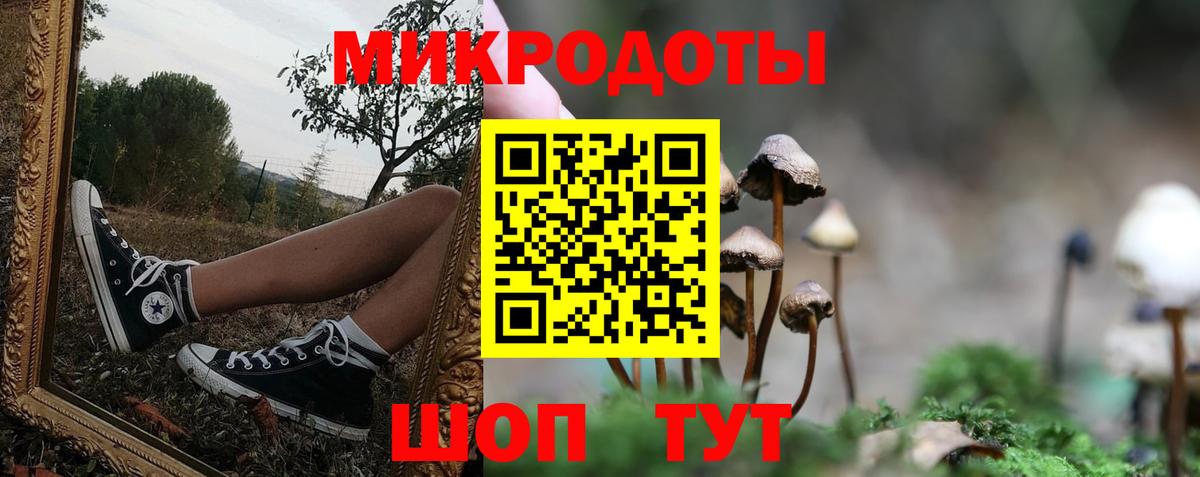 Псилоцибиновые грибы Cubensis Заринск