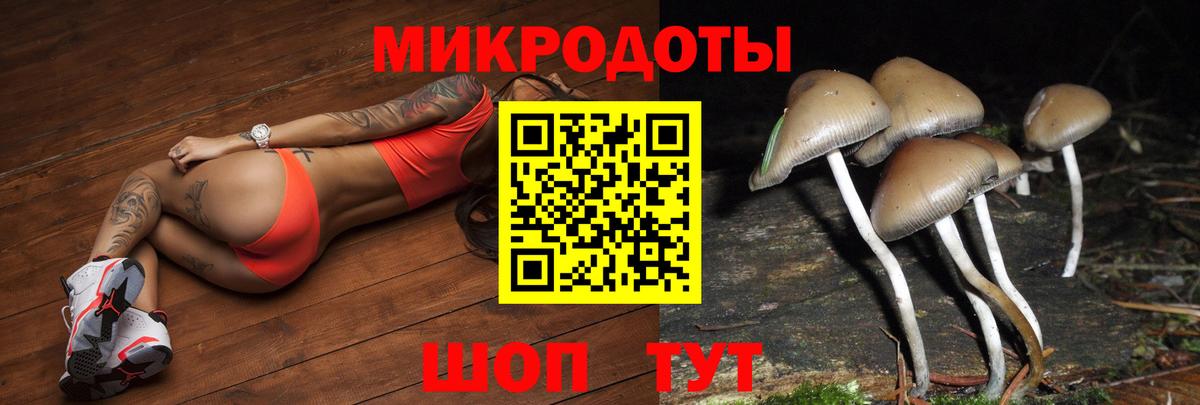 Галлюциногенные грибы мицелий Заринск
